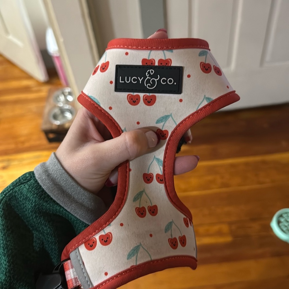 reversible Lucy and Co. harness